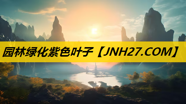 园林绿化紫色叶子