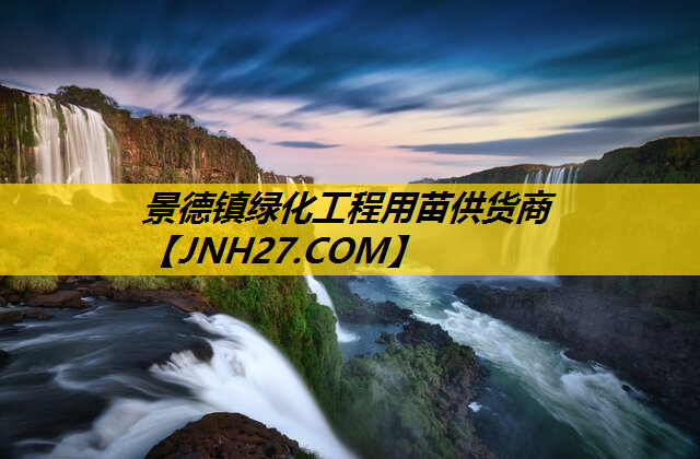 景德镇绿化工程用苗供货商