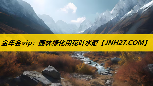园林绿化用花叶水葱