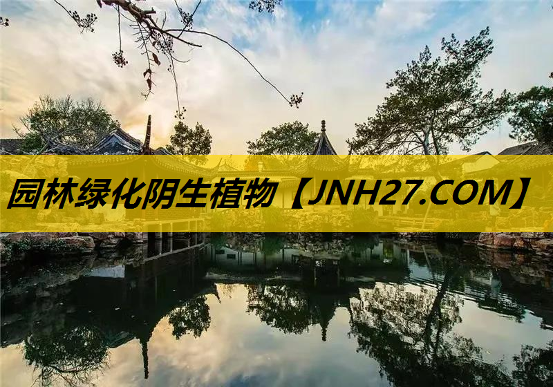 园林绿化阴生植物