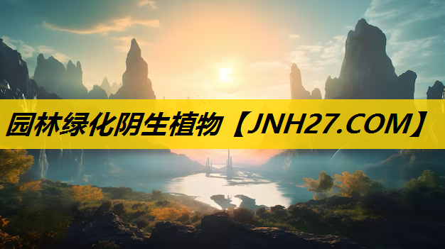 园林绿化阴生植物